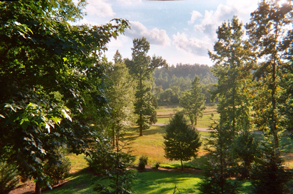 creekside view from porch