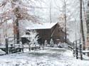 creekside in snow