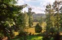 creekside view from porch